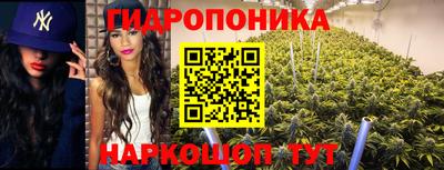 стаф Донской