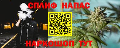 стаф Донской
