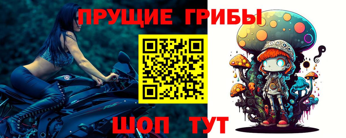 сколько стоит  Галлюциногенные грибы GOLDEN TEACHER  Вход с VPN  Набережные Челны 